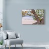 Trademark Fine Art Njr Photos 'Mossy Beach' Canvas Art, 12x19 ALI43869-C1219GG